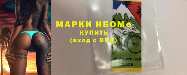 стаф Алексин