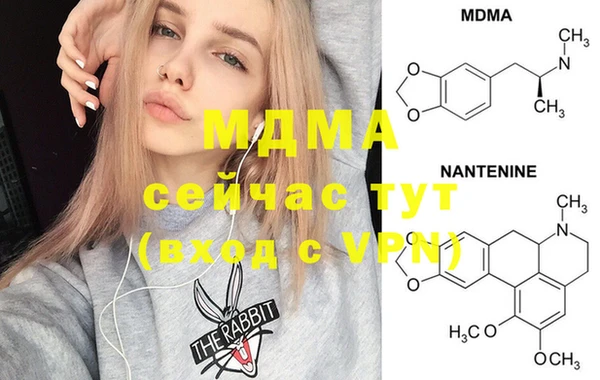 стаф Алексин