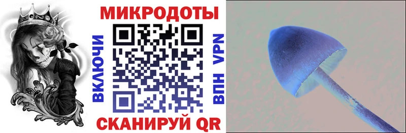 Псилоцибиновые грибы GOLDEN TEACHER  Туймазы 